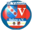 Sportverein Viktoria-Salow e.V.